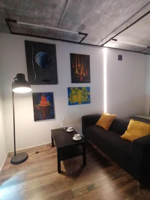 Erdvi Studija Spacious Studio Apartment Self Check In Вильнюс Экстерьер фото